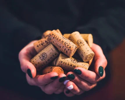 Perché le esperienze del vino sono perfette anche per chi non ne capisce nulla