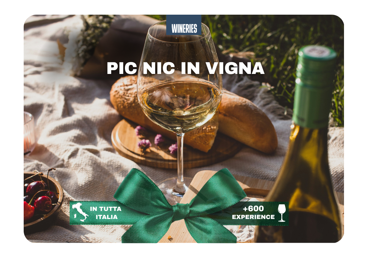 Pic-Nic in Vigna