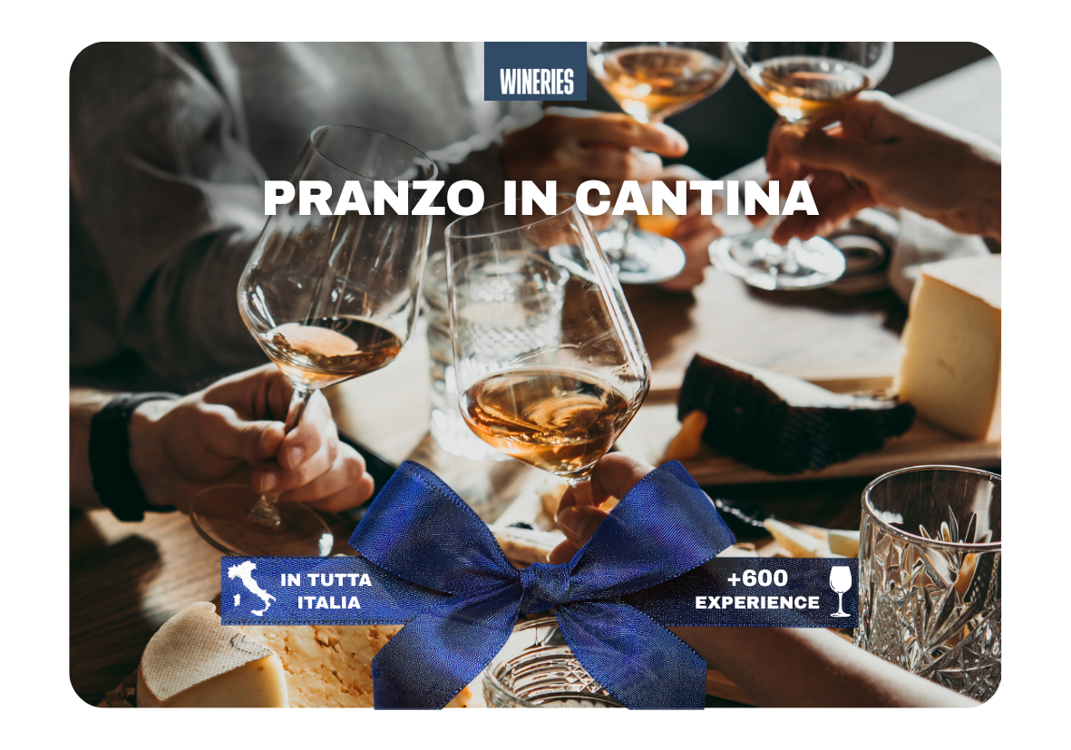 Pranzo in cantina