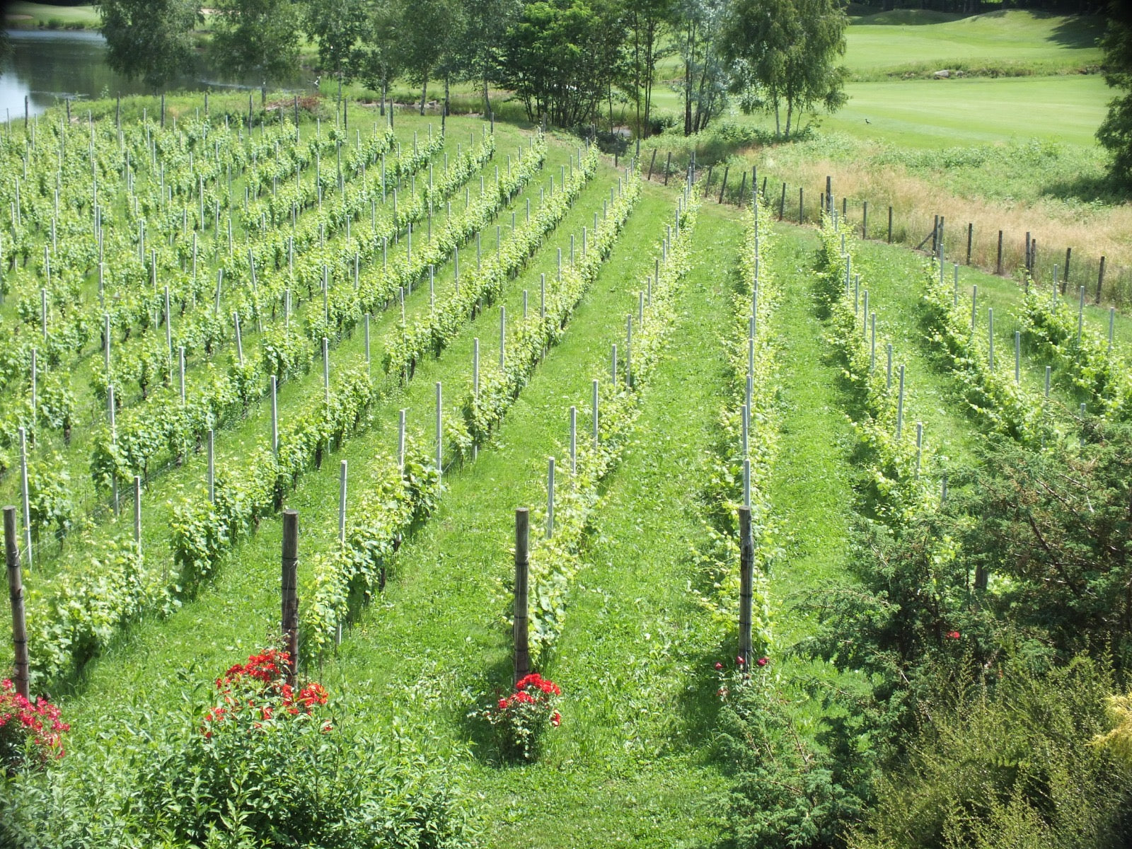 Ca' Nova - Soggiorno e Degustazione Piemonte Ca' Nova