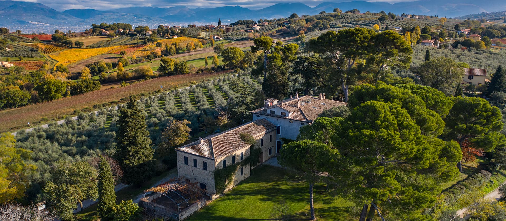Antonelli San Marco - Degustazione 6 vini Umbria Antonelli San Marco