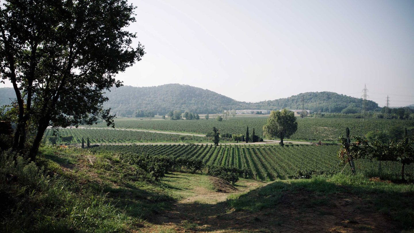 Villa Franciacorta - Visita con Degustazione Lombardia Villa Franciacorta