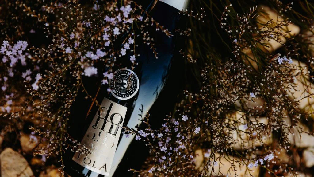 Az.Vitivinicola Tola - Degustazione premium Sicilia Az.Vitivinicola Tola