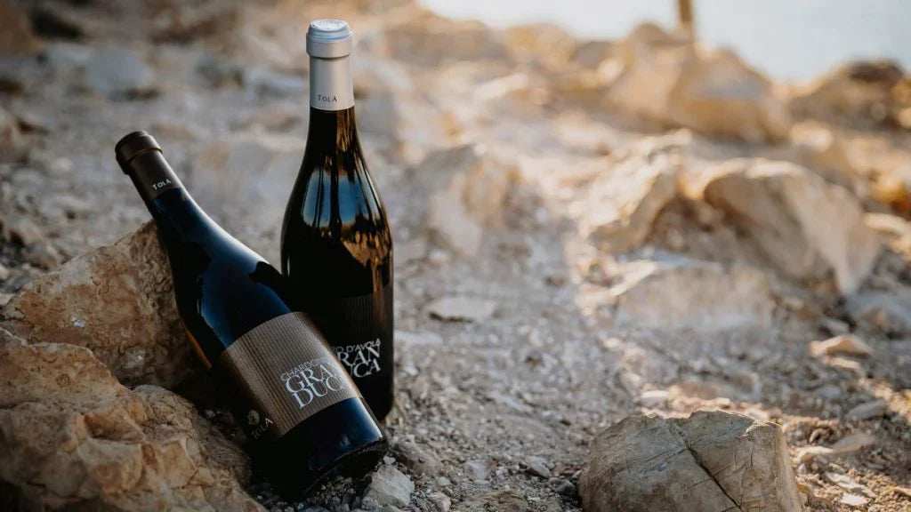Az.Vitivinicola Tola - Degustazione premium Sicilia Az.Vitivinicola Tola
