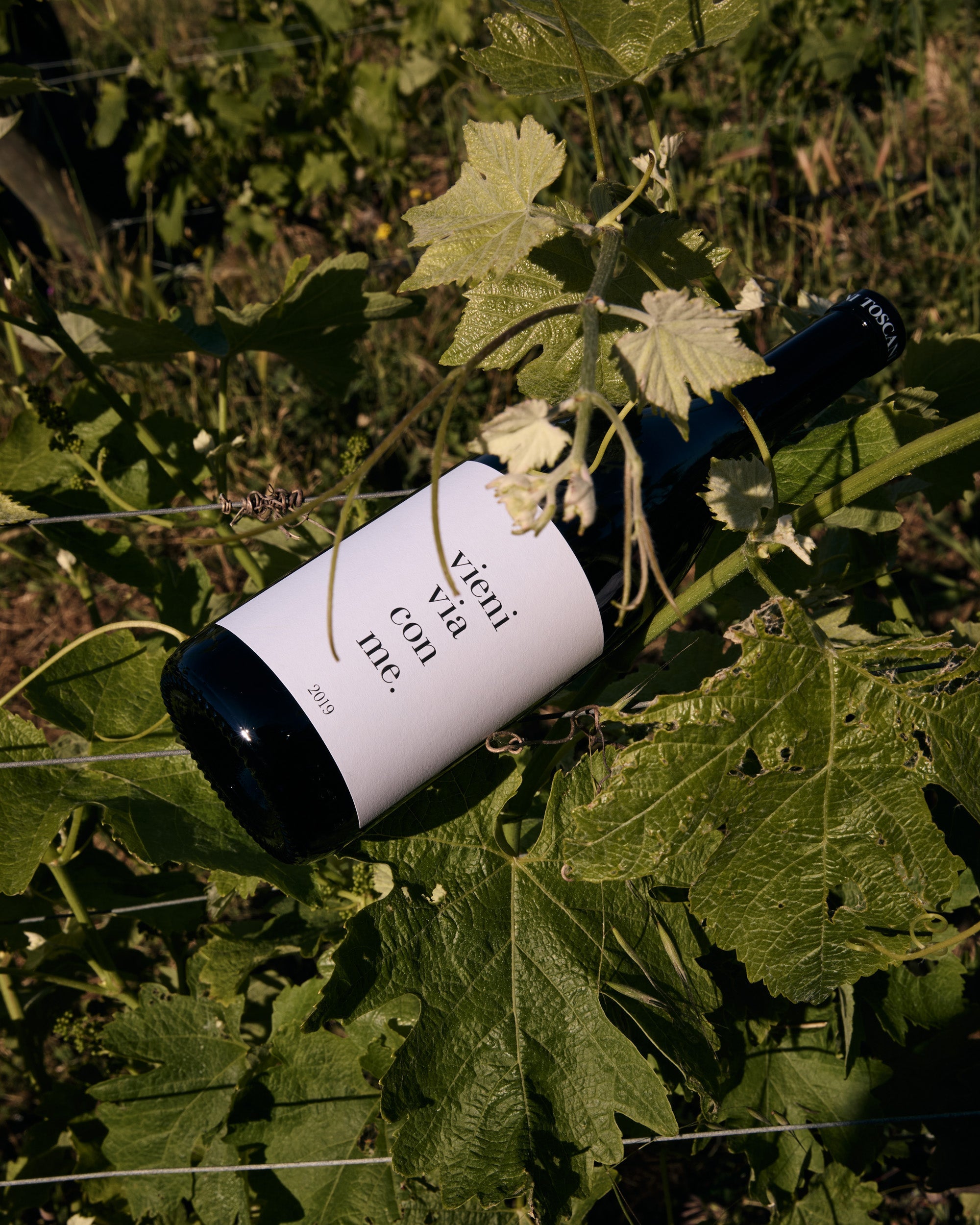 Az.agr Toscani - Degustazione "La Totale" Toscana Az.agr Toscani