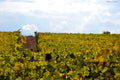 Castello di Tassarolo - Solo Vino Piemonte Castello di Tassarolo