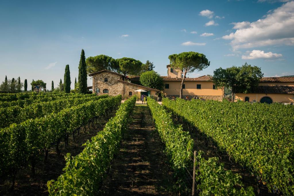 Fattoria Viticcio - Tasting Riserva Toscana Fattoria Viticcio