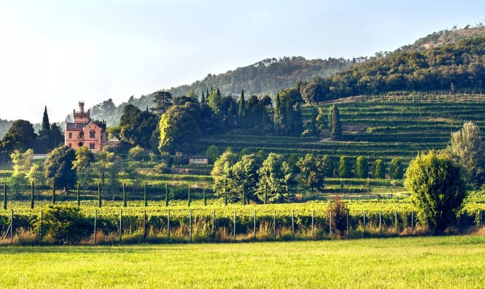 Castello Bonomi - Degustazione Cuvée1564 con Erbamat Lombardia Castello Bonomi