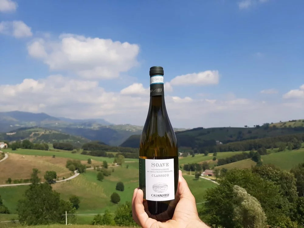 Azienda Agricola Casarotto - Degustazione Super Veneto Azienda Agricola Casarotto