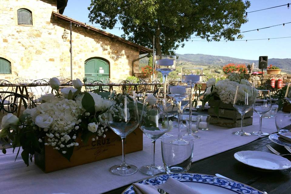Fattoria Viticcio - Tasting Riserva Toscana Fattoria Viticcio