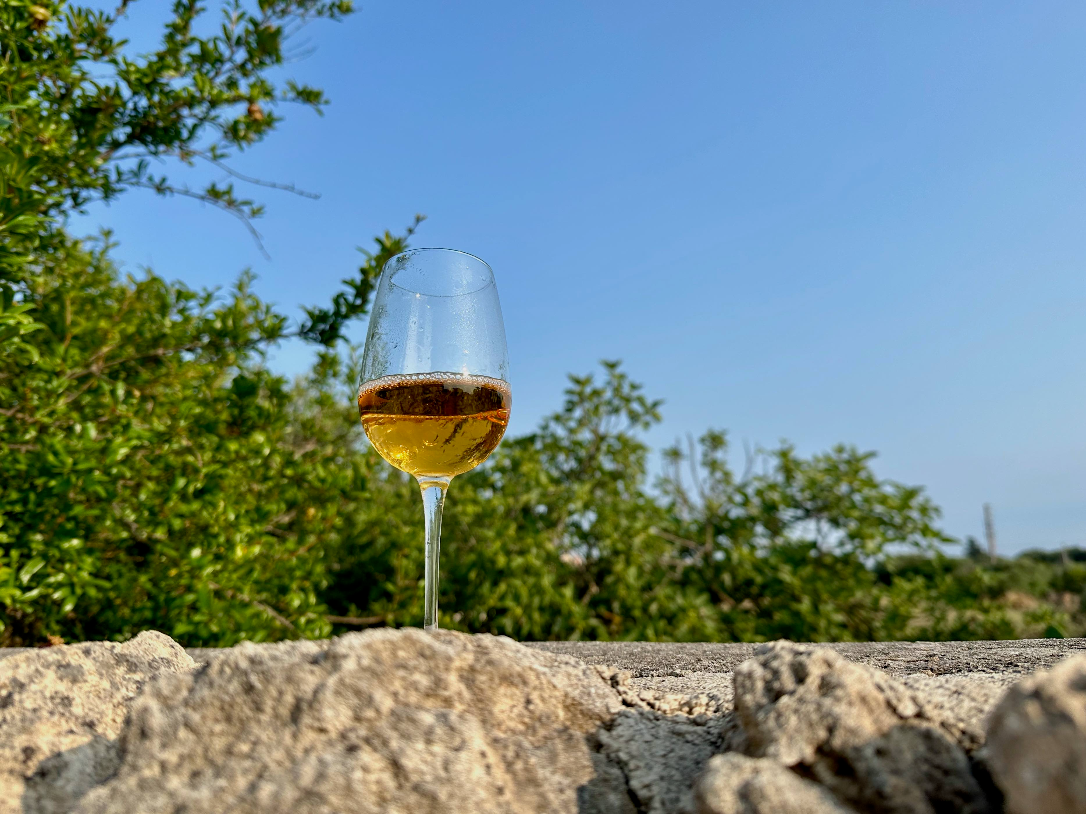De Quarto - Ars vinifera Puglia De Quarto