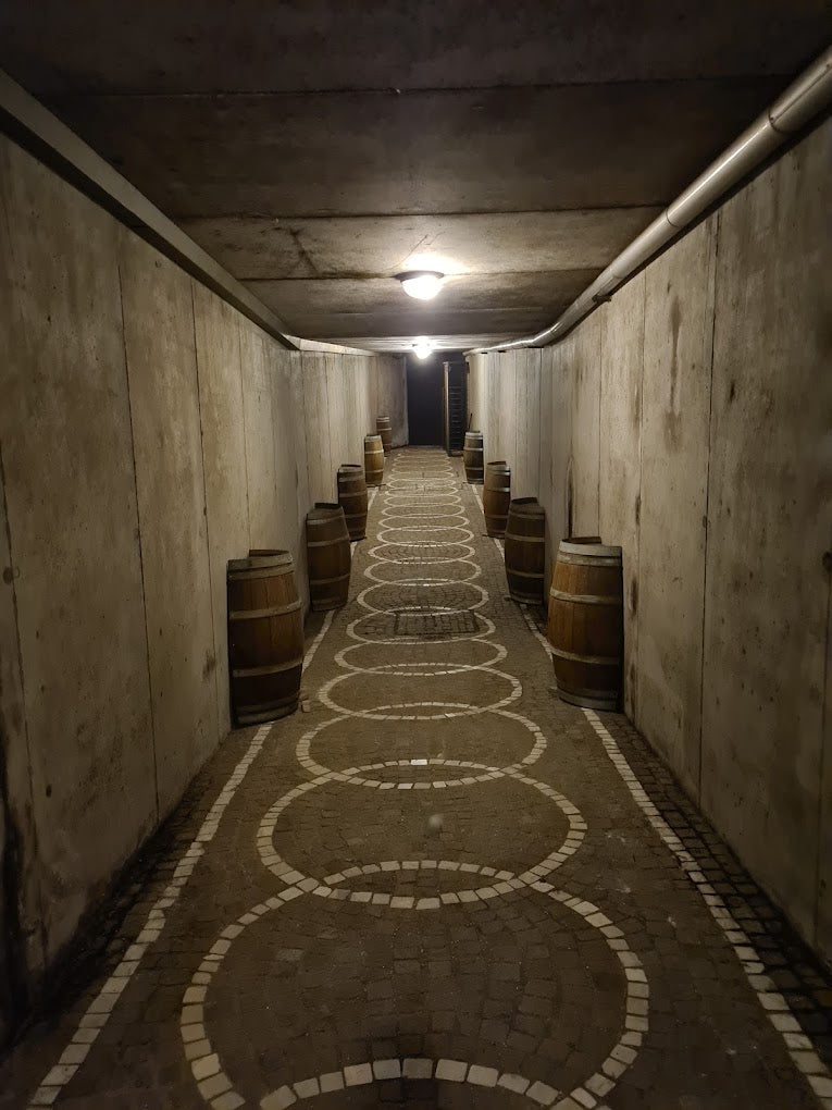 Casale del Giglio - Degustazione vino Classica Lazio Casale del Giglio