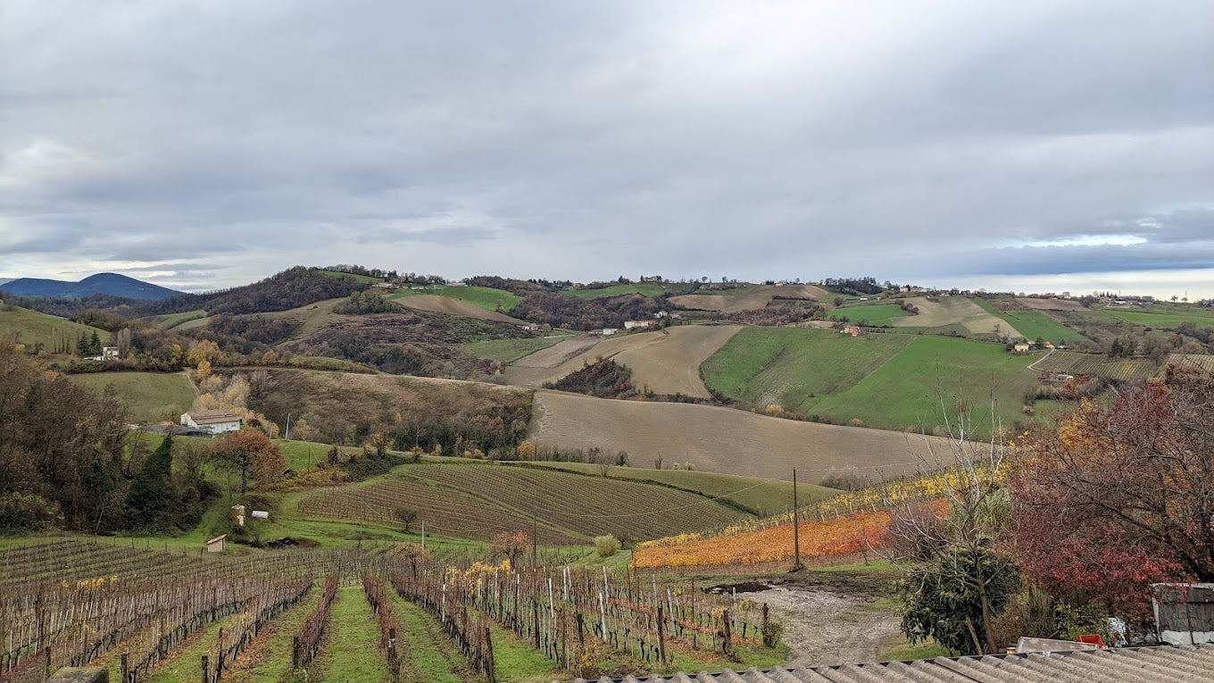 La Bandina - VIP Experience Tasting Emilia Romagna La Bandina