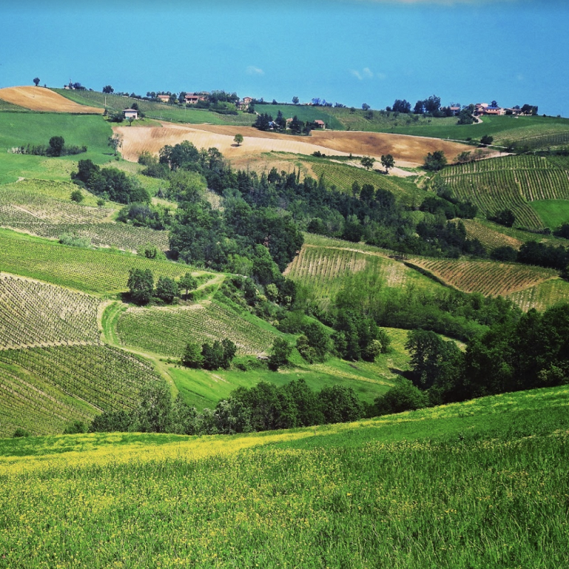 Lefiole - Il lato femminile dell'Oltrepò Pavese Lombardia Lefiole