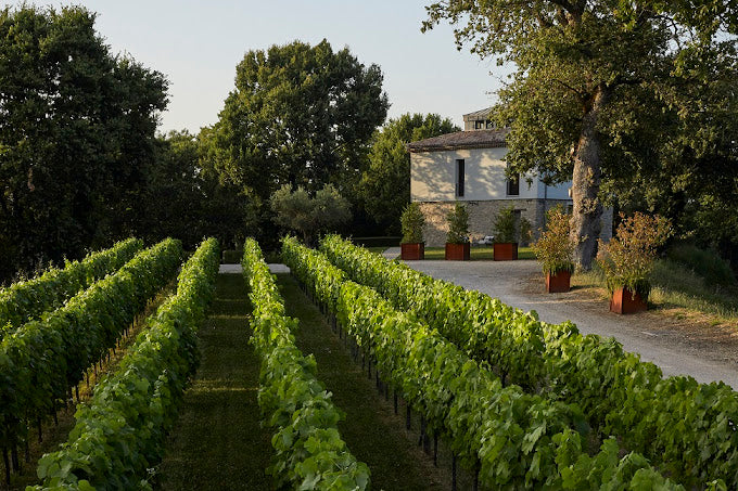 Borgo San Gregorio - Visita e Pranzo degustazione Campania Feudi di San Gregorio
