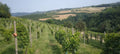 Aldo Marenco - Aperitivo in Cantina Piemonte Aldo Marenco