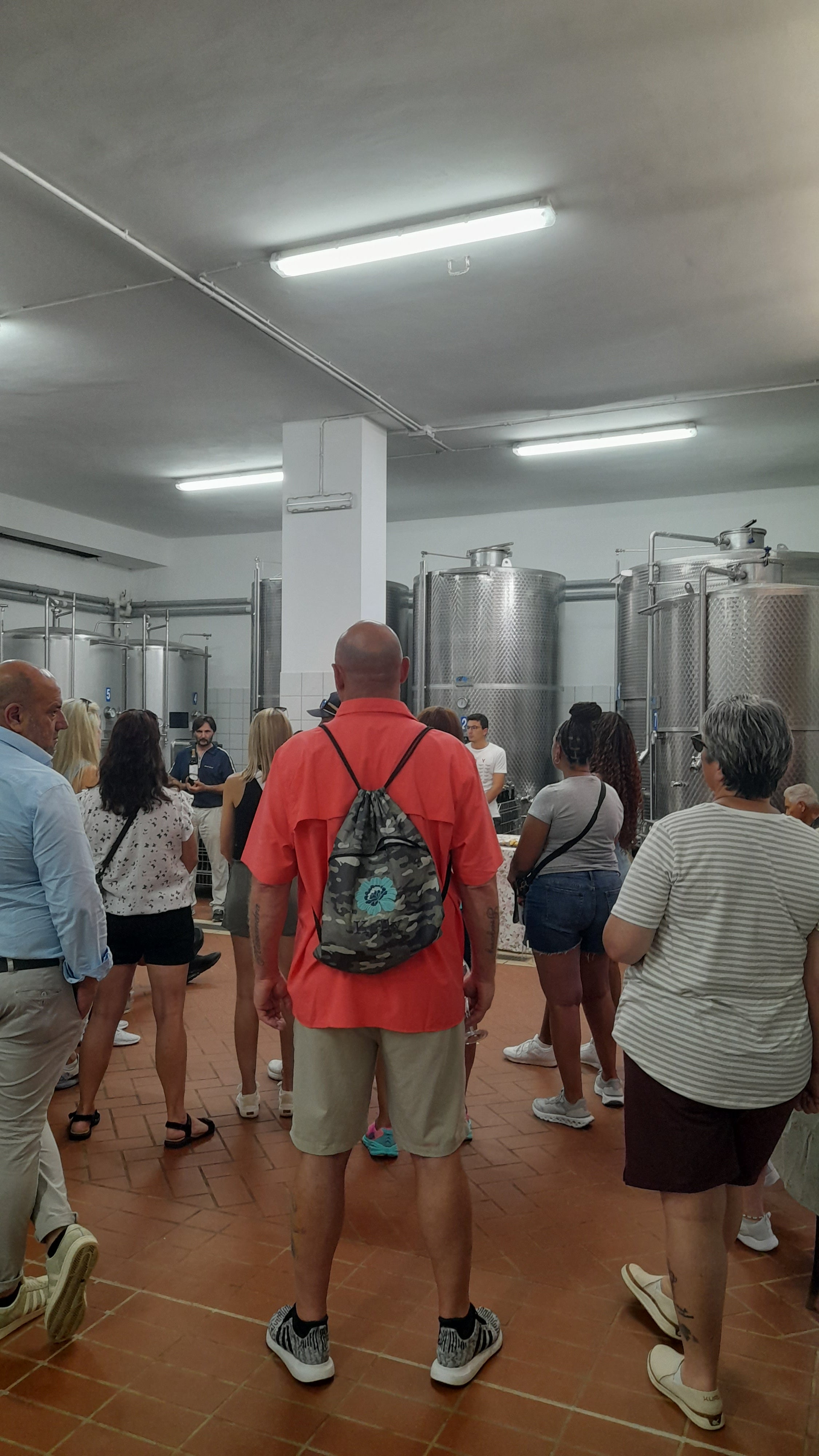 PETRILLO - Pranzo con Degustazione Campania Petrillo
