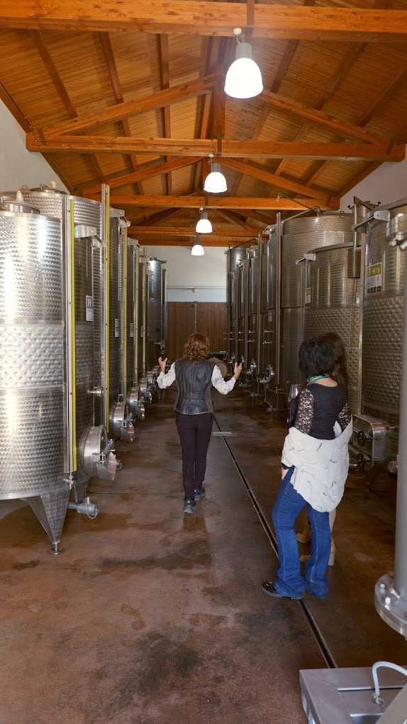 Augustali - Pranzo tipico e visita in cantina Sicilia Augustali