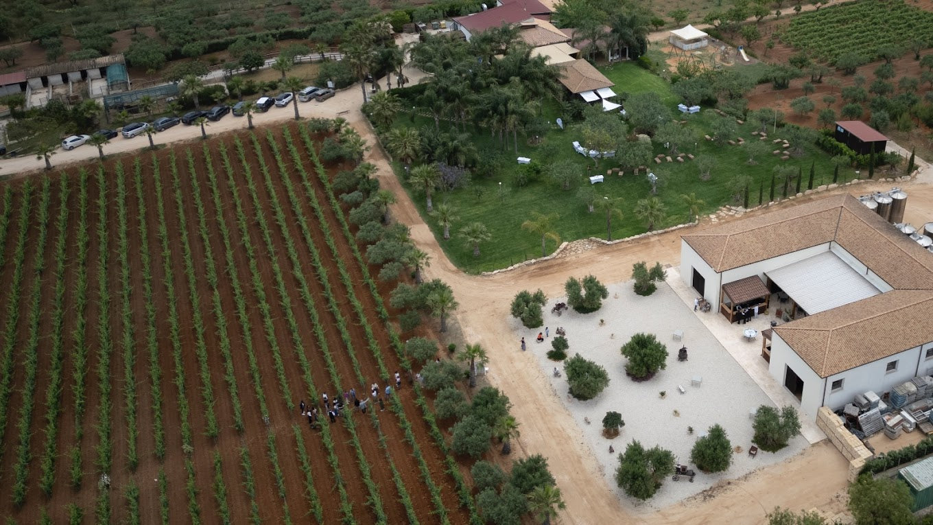 Augustali - Pranzo tipico e visita in cantina Sicilia Augustali
