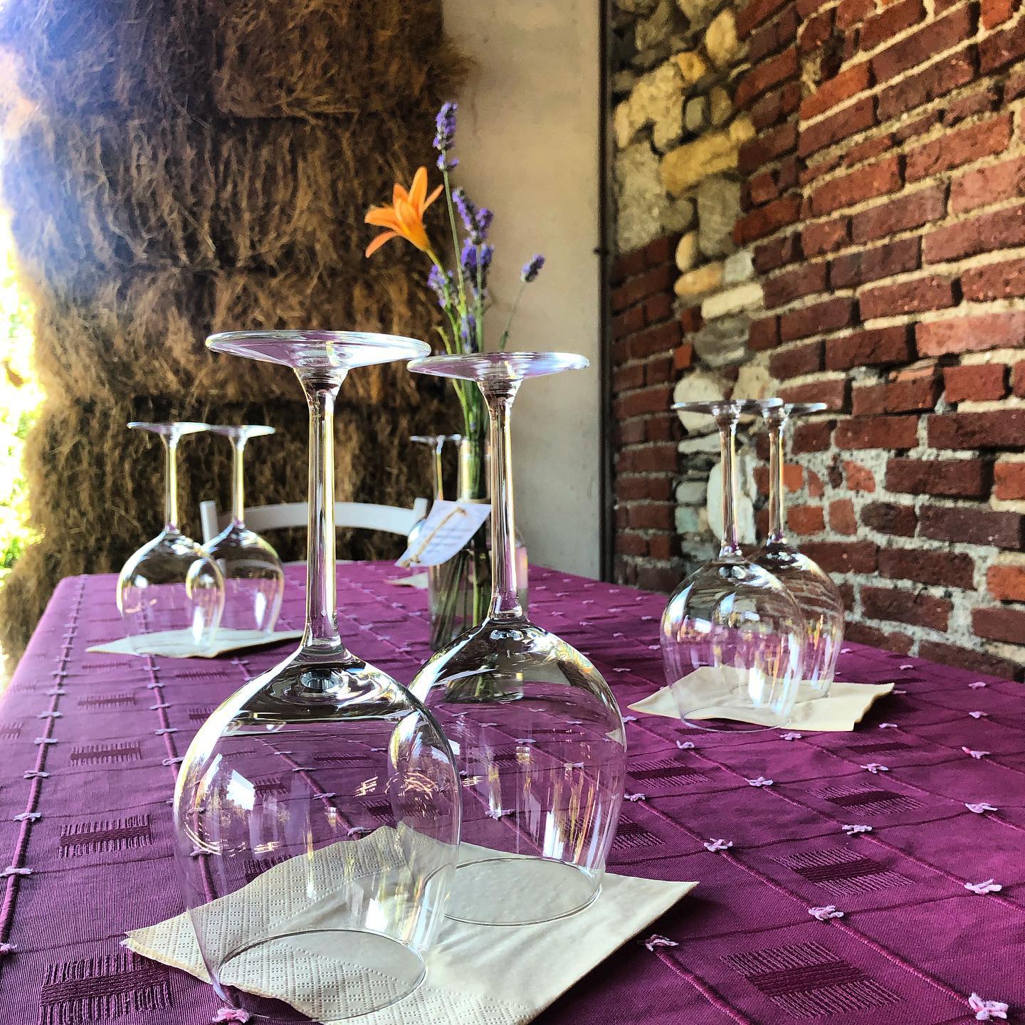 Fontechiara - Sorsi di relax : soggiorno e degustazione al Decanter House Piemonte Fontechiara