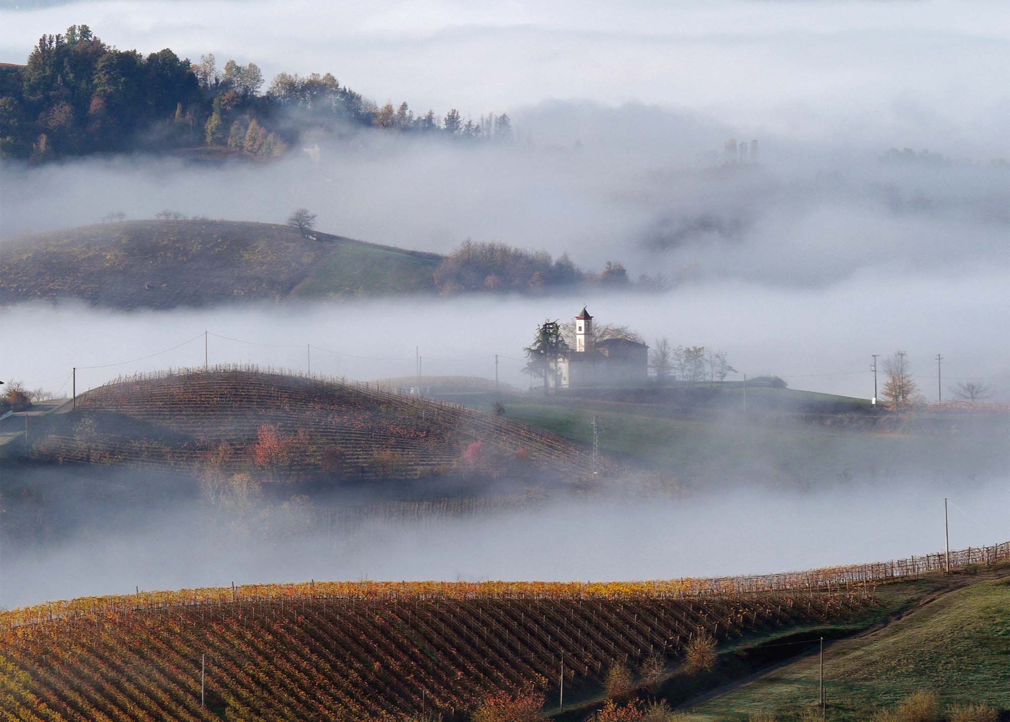 La Briacca - Degustazione 4 vini "Max" Piemonte La Briacca