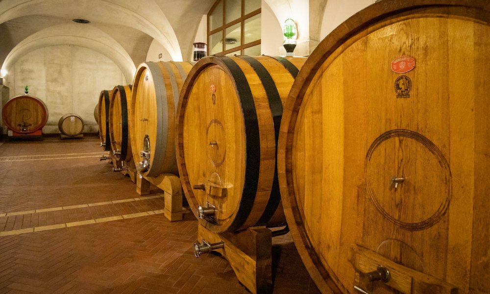 Cantina Roccapesta - Degustazione & Visita Toscana Cantina Roccapesta