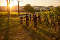 Tenuta Santi Giacomo e Filippo - Il Wine Tour in e-bike Marche Tenuta Santi Giacomo e Filippo