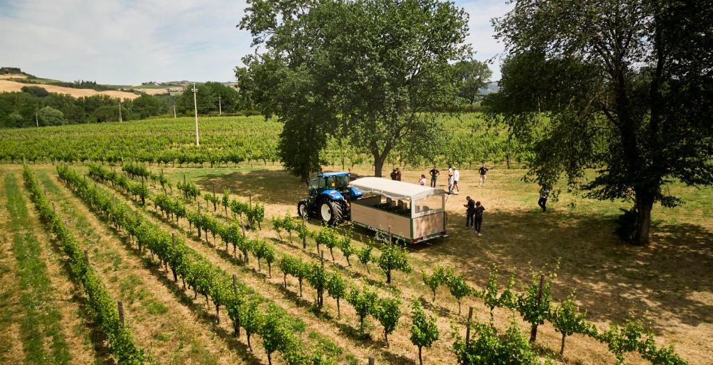 Tenuta Santi Giacomo e Filippo - E-Bike "Alle Origini del Cibo" Marche Tenuta Santi Giacomo e Filippo