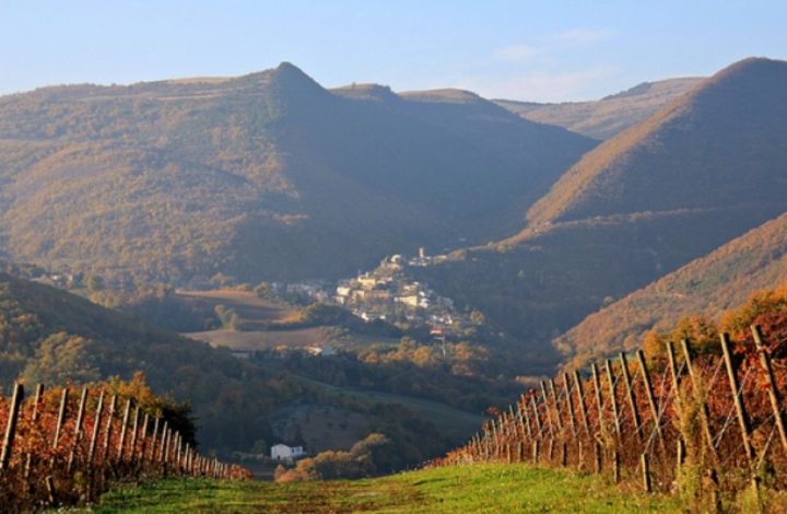 Terre di Serrapetrona - Vernaccia Nera di Serrapetrona Experience Marche Terre di Serrapetrona