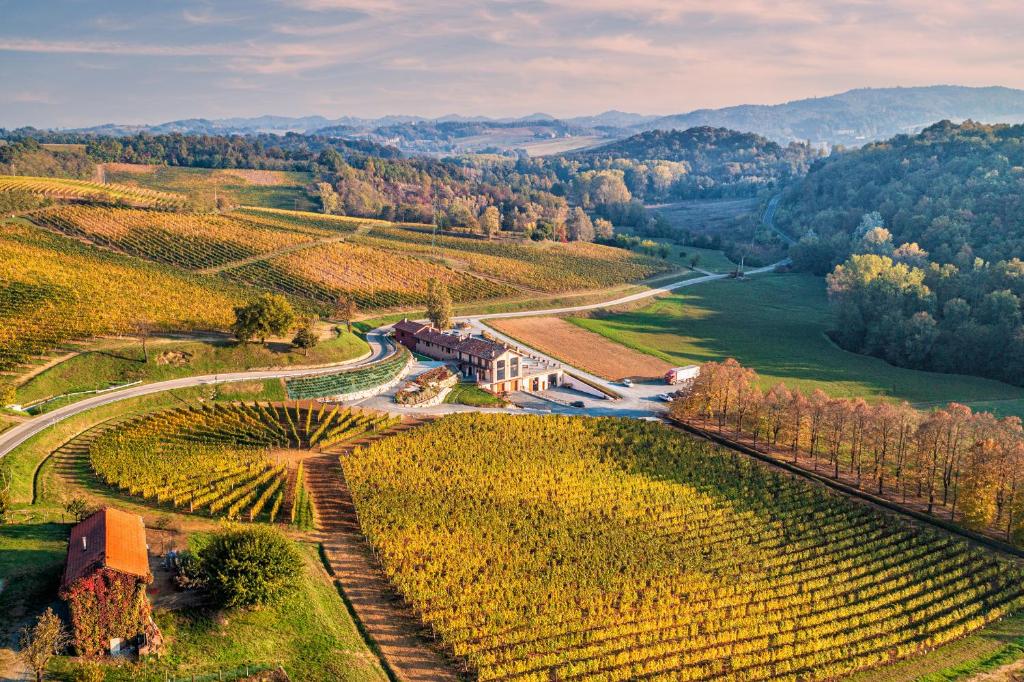 Cascina Binè - Soggiorno & Cena in Cantina Piemonte Cascina Binè