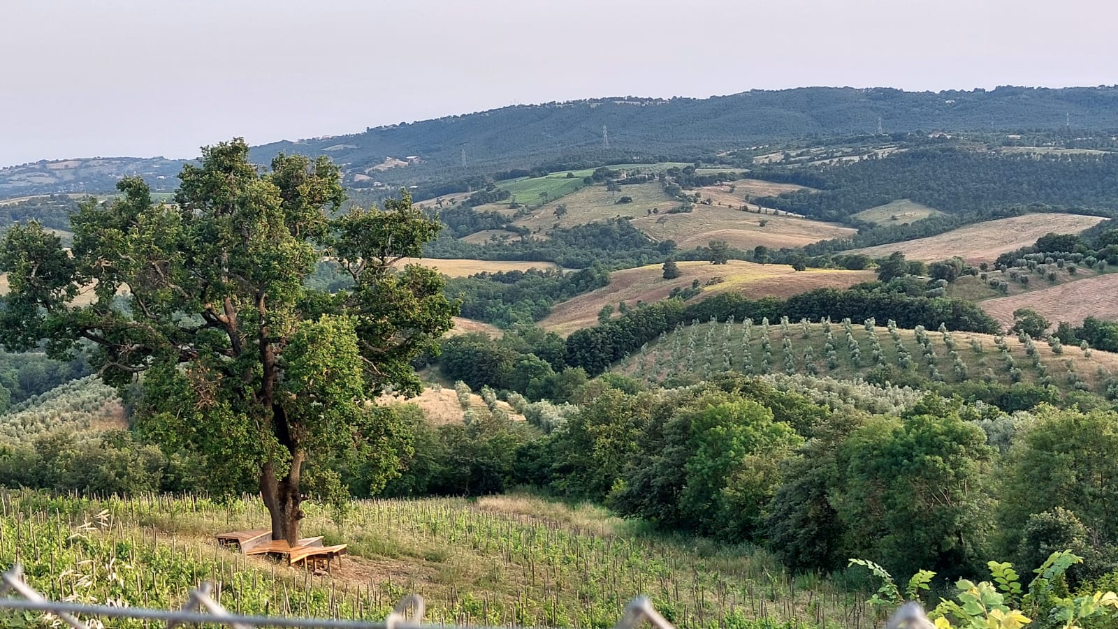 Fattoria La Maliosa - Degustazione e visita della Fattoria Toscana Fattoria La Maliosa