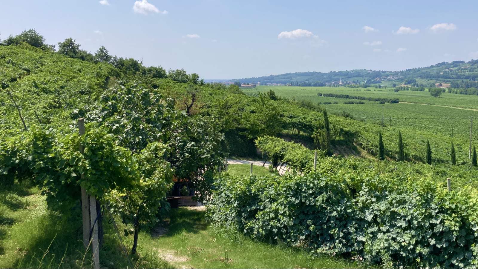 Falezze - Soggiorno & Degustazione Veneto Falezze
