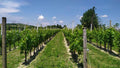 La Mondianese - I nostri Classici Piemonte La Mondianese