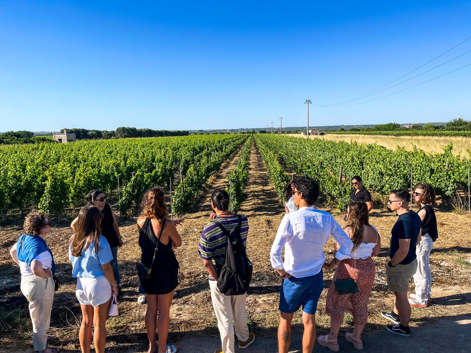 De Quarto - Ars vinifera Puglia De Quarto