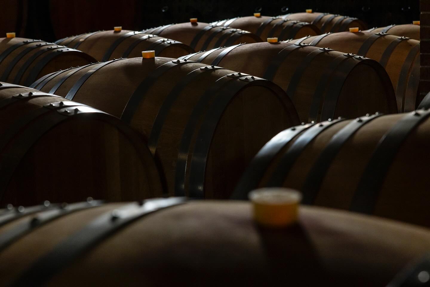 BERSANO - Langhe e Monferrato Piemonte Bersano