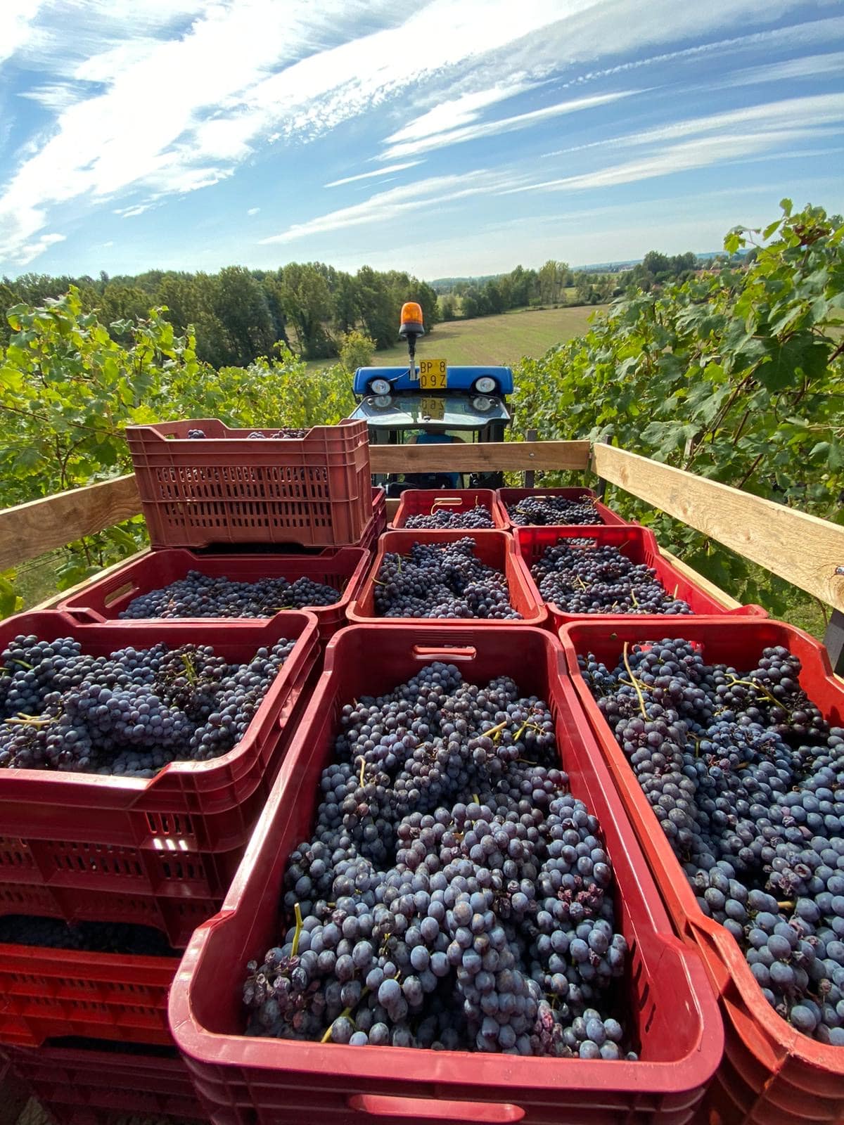 Ca' Nova - Soggiorno e Degustazione Piemonte Ca' Nova