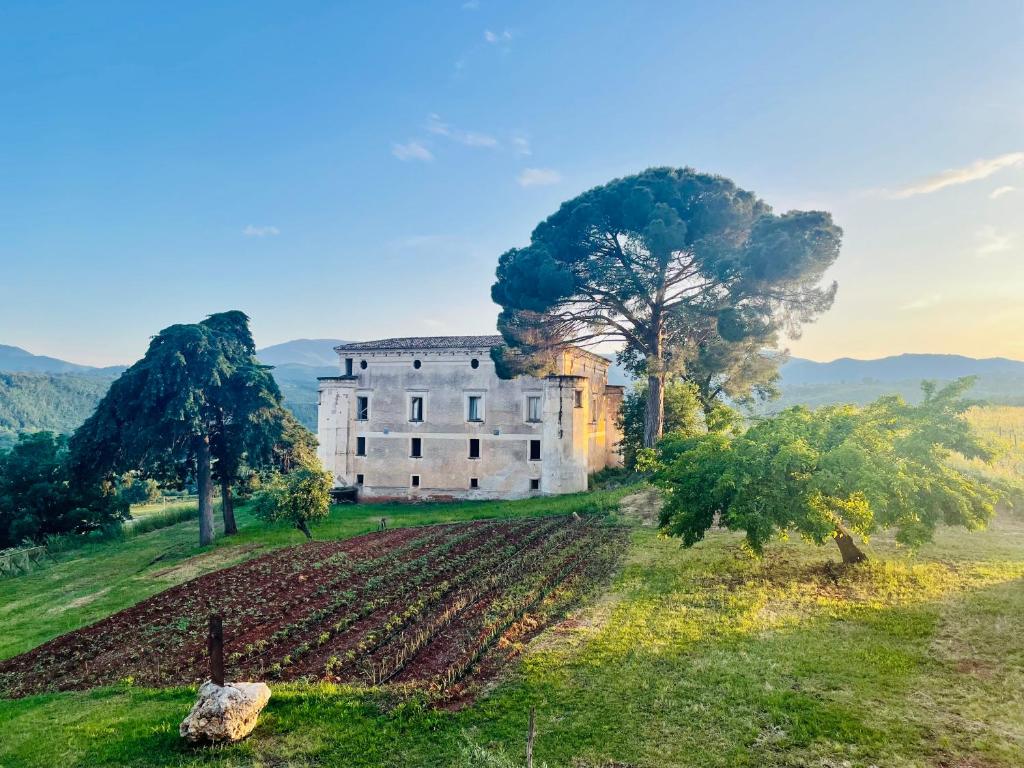 Tenuta Pacelli - Pranzo in vigna & Degustazione Calabria Tenuta Pacelli
