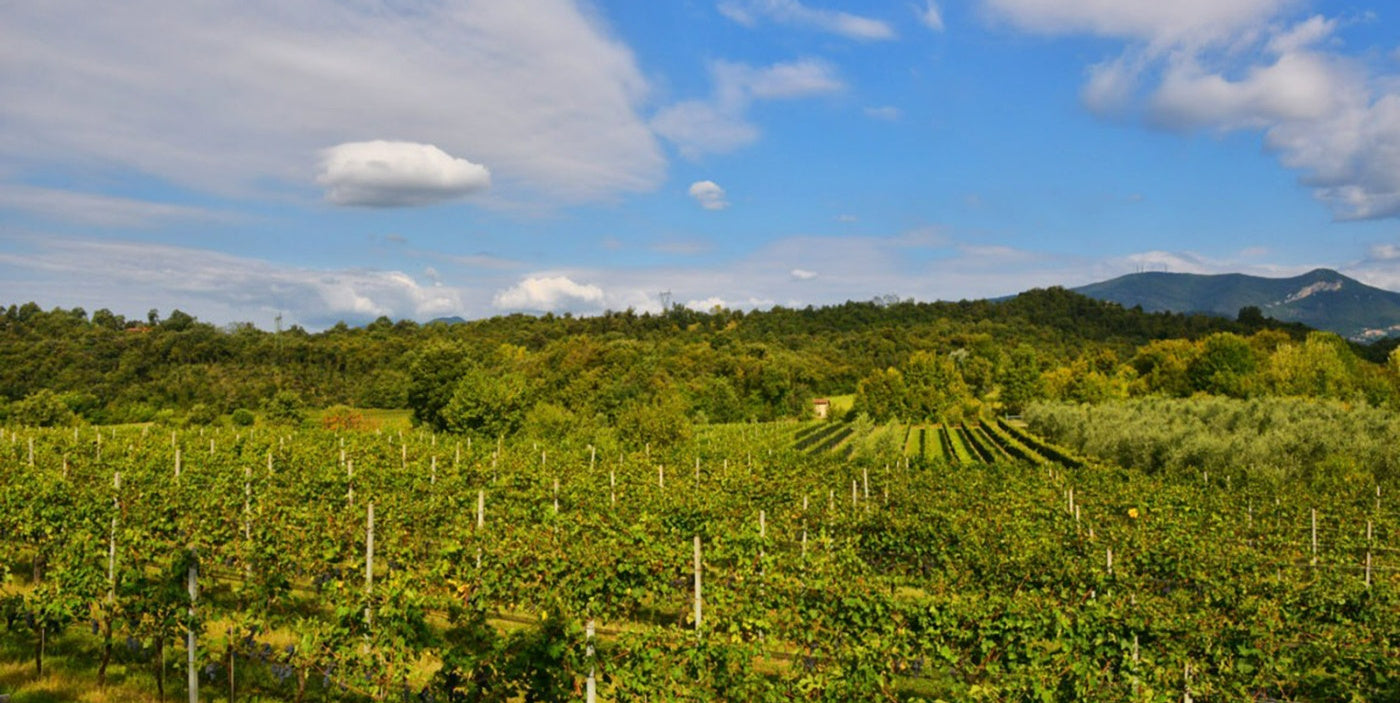 Podere dei Folli - La rivincità del Rosè Veneto Podere dei Folli
