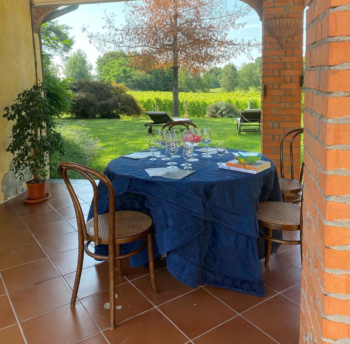 Ca' Nova - Soggiorno e Degustazione Piemonte Ca' Nova