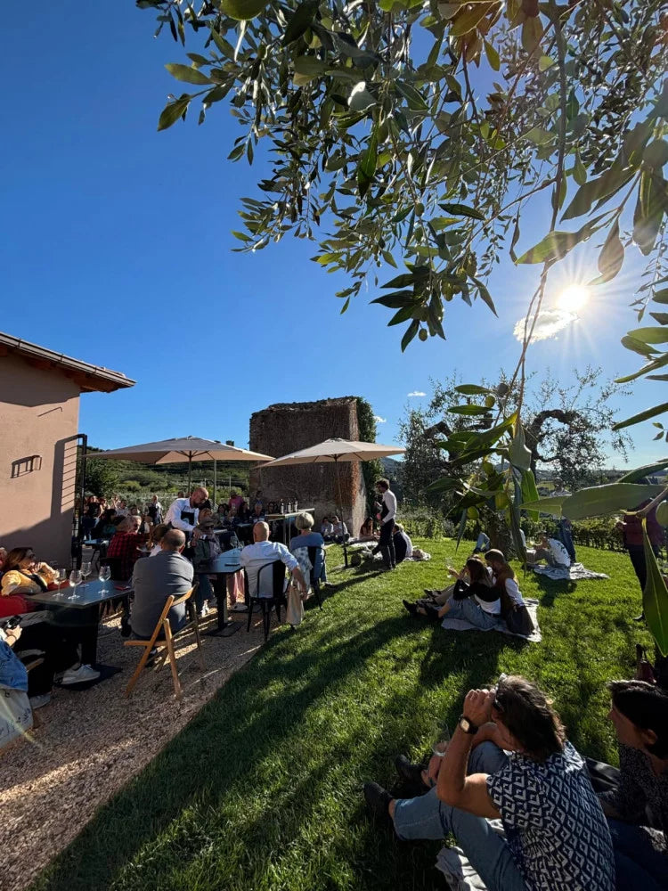 Eredi dei Papi - Degustazione 3 Vini Lazio Eredi dei Papi