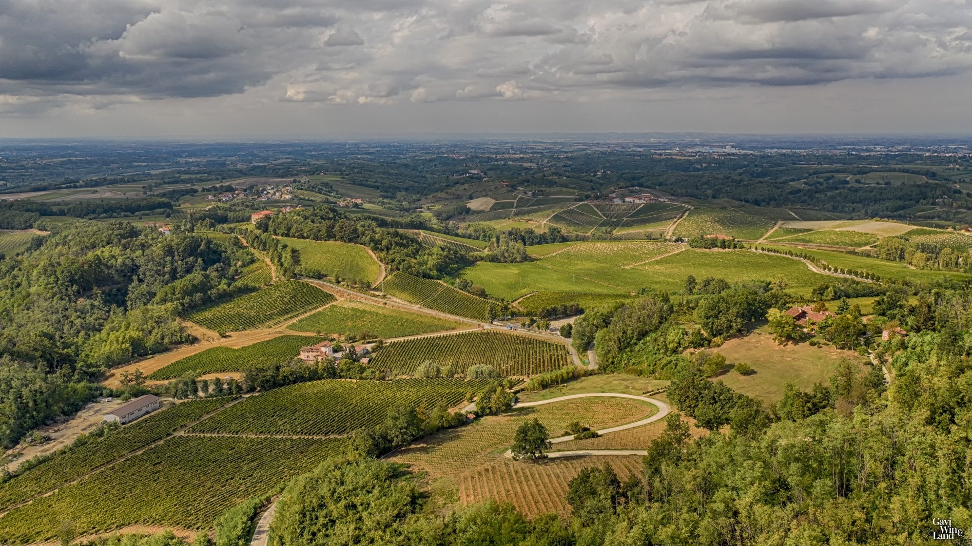 Castello di Tassarolo - Solo Vino Piemonte Castello di Tassarolo