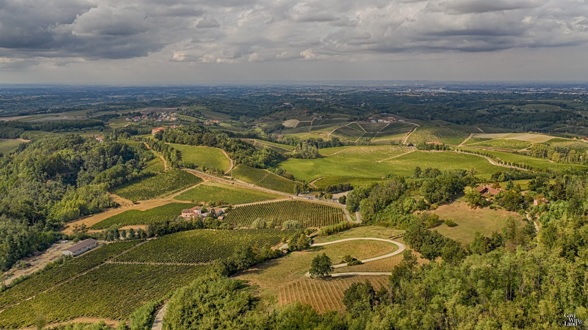 Castello di Tassarolo - Degustazione alla Cieca Piemonte Castello di Tassarolo