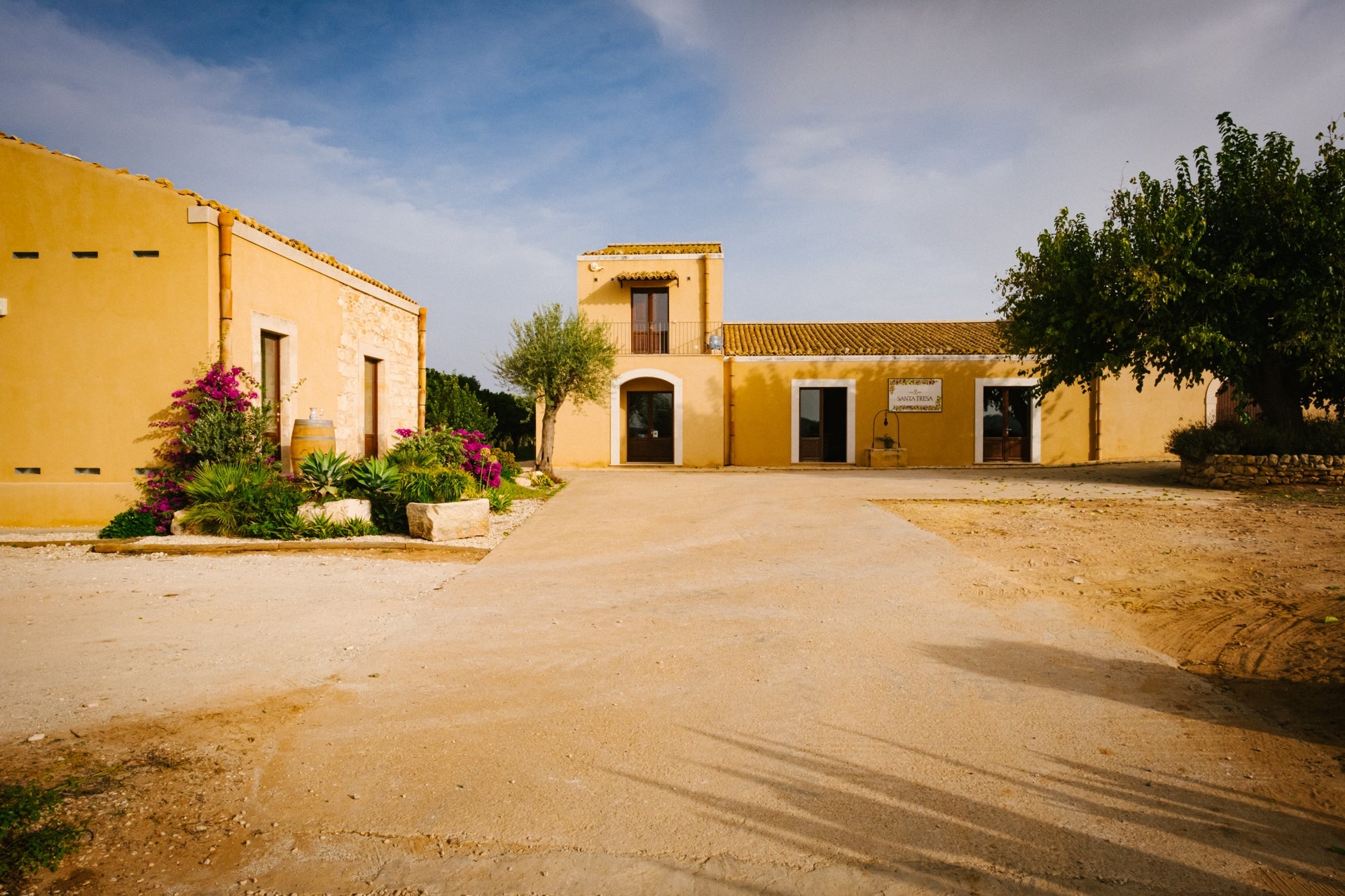 Santa Tresa - Passeggiata tra i filari Sicilia Santa Tresa