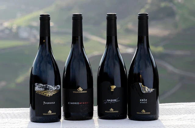 Villa Corniole - Visita e Degustazione in cantina Trentino Alto Adige Villa Corniole