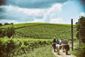 Marco carpineti - PicNic Lazio Marco Carpineti