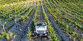 Torciano Winery - Tour dei vigneti in jeep Toscana Torciano Winery