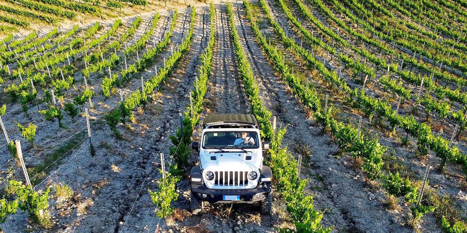 Torciano Winery - Tour dei vigneti in jeep Toscana Torciano Winery
