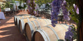Torciano Winery - Pranzo in Veranda nel Giardino Toscana Torciano Winery