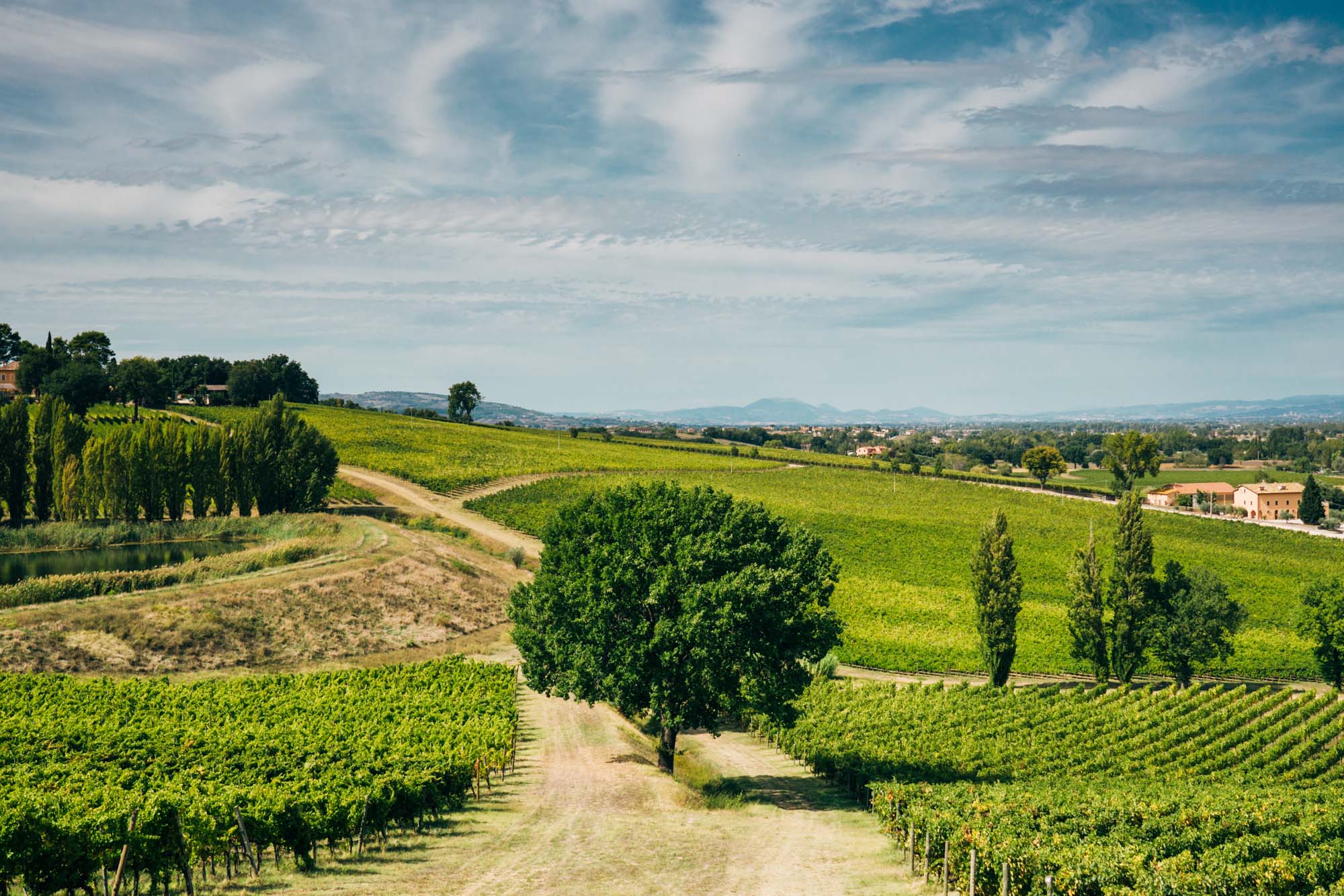 Arnaldo Caprai - Sfumature di Montefalco Umbria Arnaldo Caprai