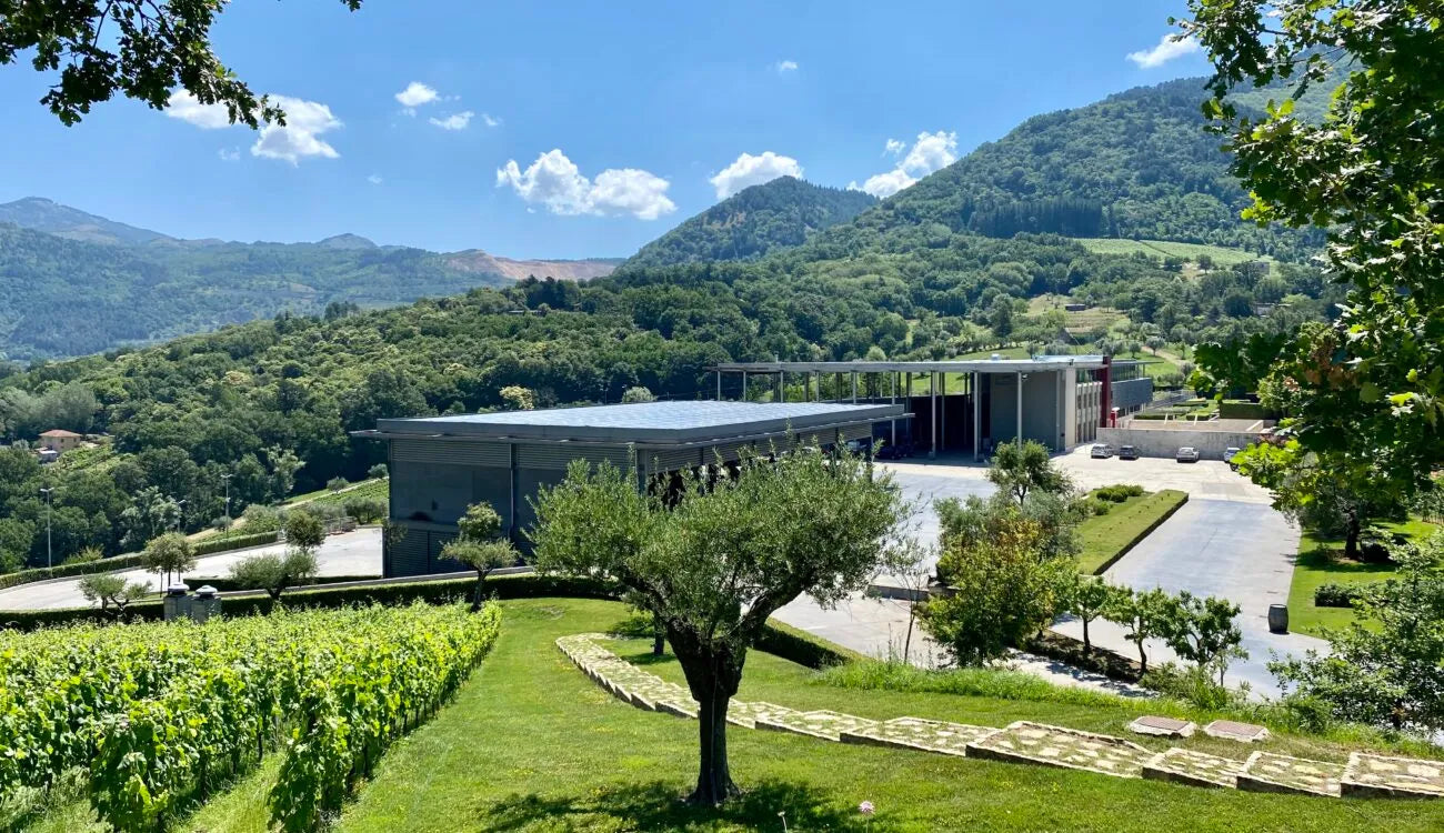 Borgo San Gregorio - Visita e Pranzo degustazione Campania Feudi di San Gregorio